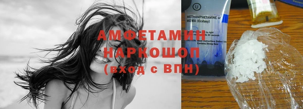молекула духа Вяземский