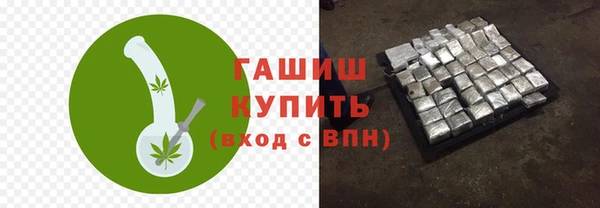 молекула духа Вяземский