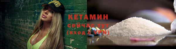 сатива Вязники