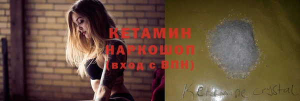 молекула духа Вяземский