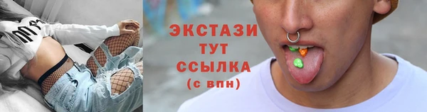 молекула духа Вяземский