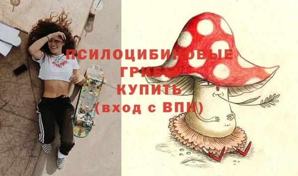 дживик Протвино