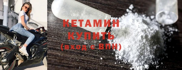 молекула духа Вяземский