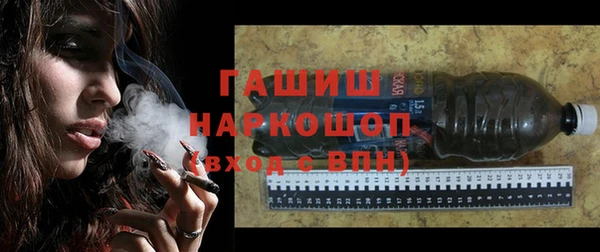 молекула духа Вяземский