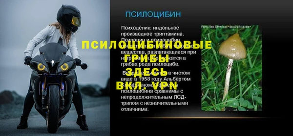 сатива Вязники
